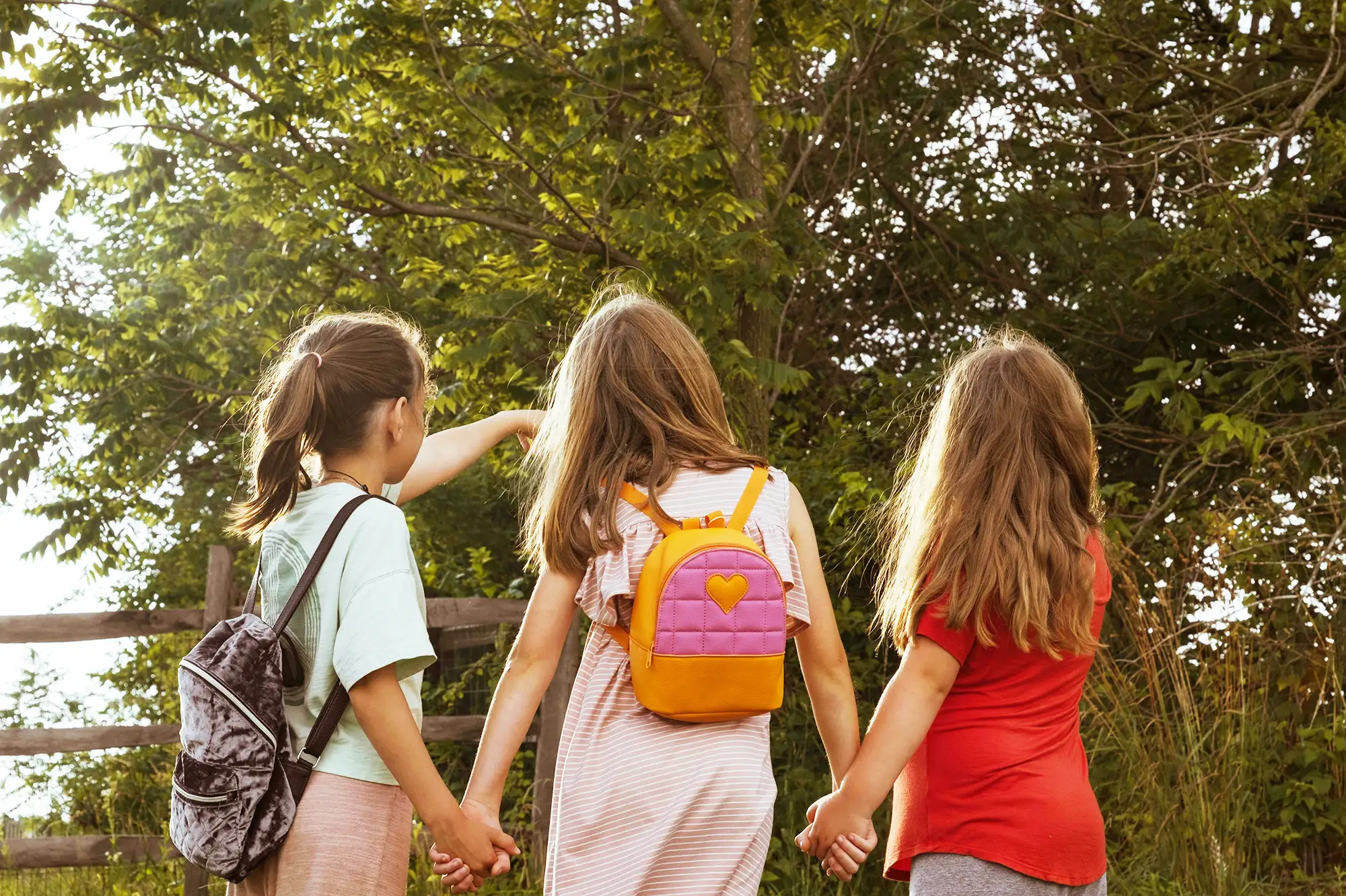 Entre el logos y el lag: una experiencia docente en tiempos de pedagogía virtual